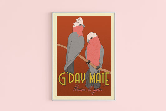 SALE - Galahs Poster