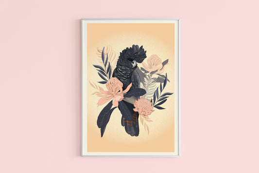 SALE - Red Tailed Black Cockatoo Poster